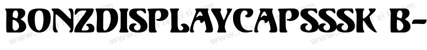 BonzDisplayCapsSSK B字体转换